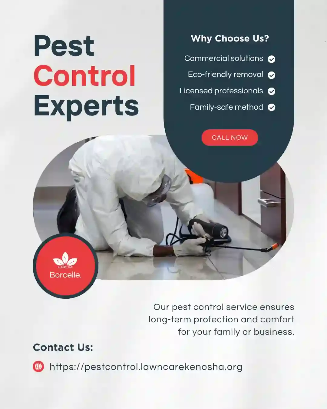 Expert pest control assessment — licensed Wisconsin technician conducting detailed interior inspection to determine treatment scope