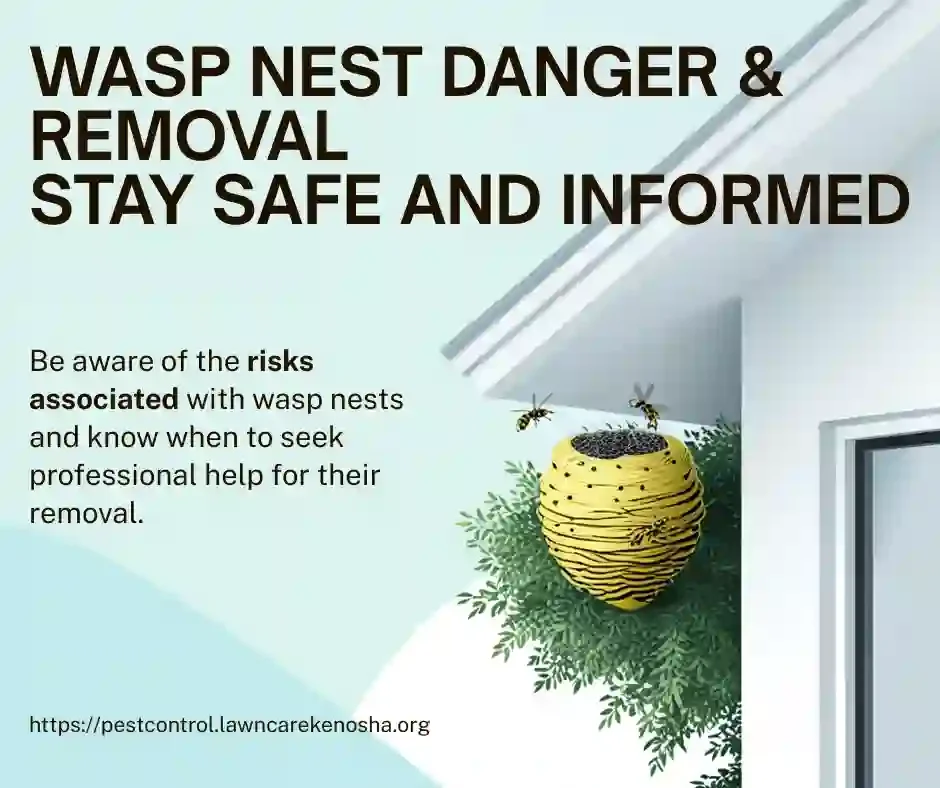 Hornet nest vs wasp nest comparison — gray papery bald-faced hornet nest alongside open-comb paper wasp nest in Wisconsin