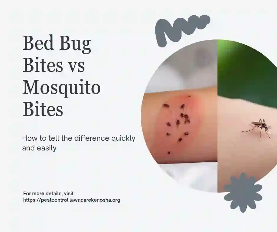 Treating mosquito bites — topical antihistamine relief for Wisconsin mosquito season bites
