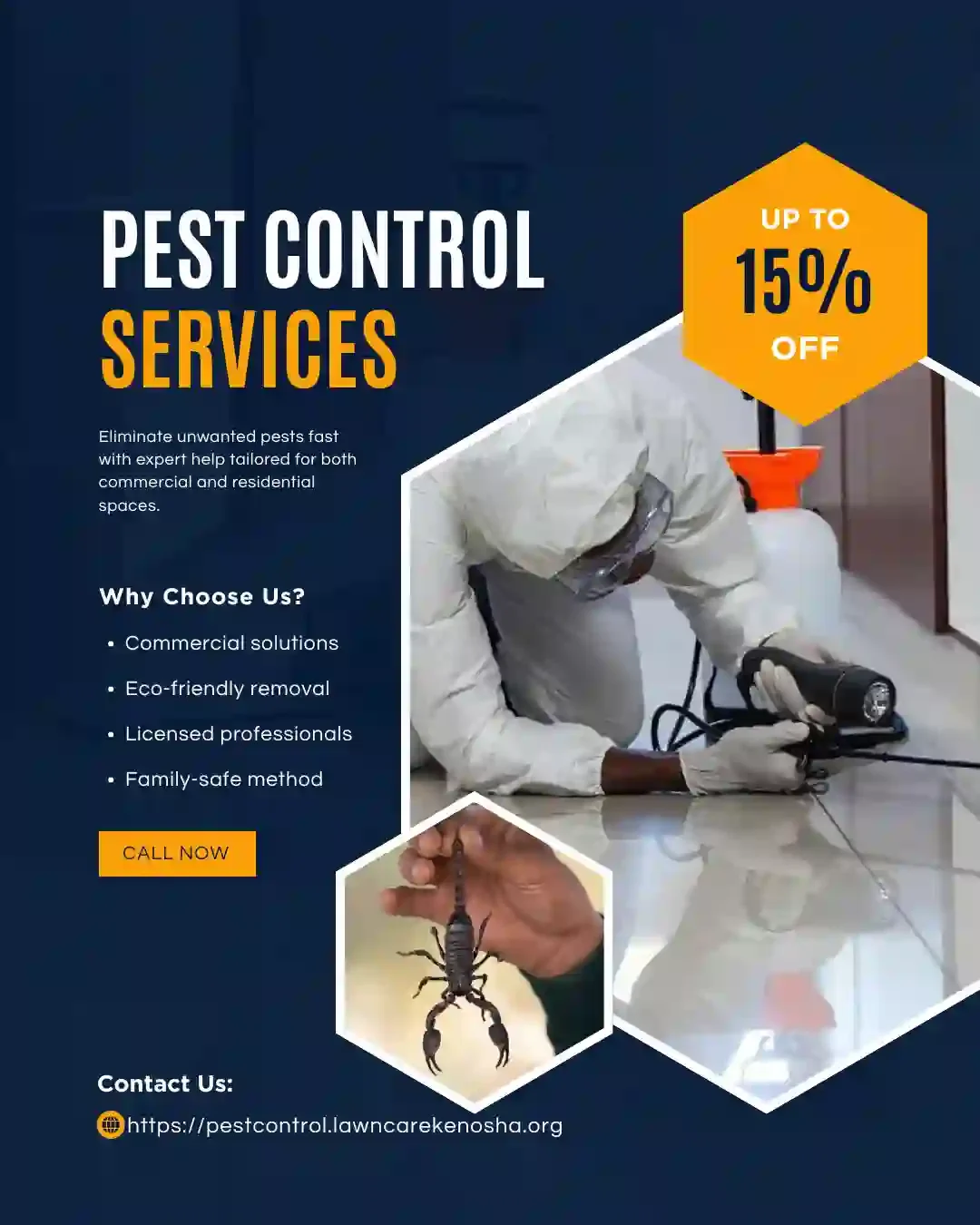 Professional pest control service treatment — licensed technician applying targeted treatment to Wisconsin residential property