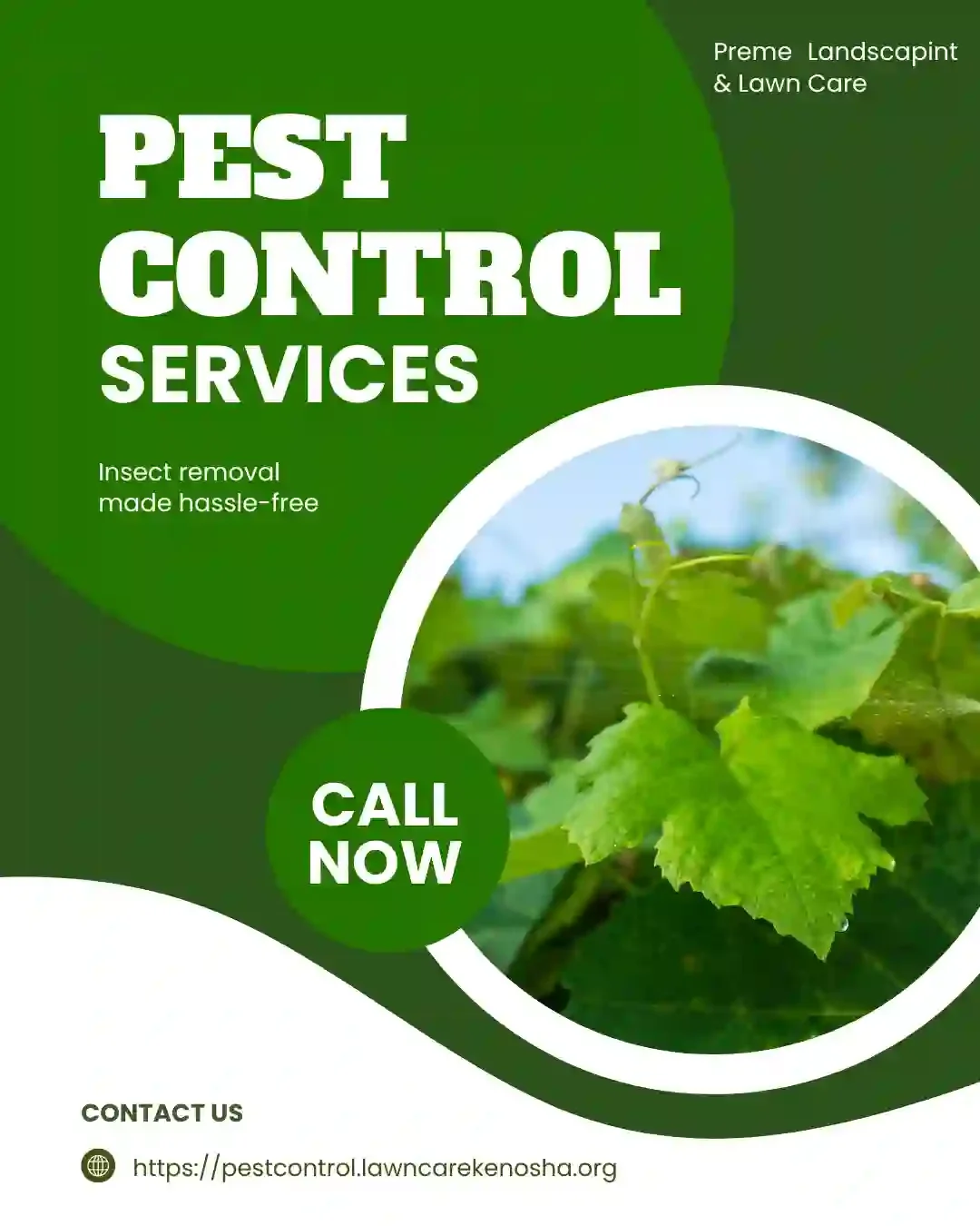 Year-round pest control service in Wisconsin — professional seasonal treatment program for residential properties