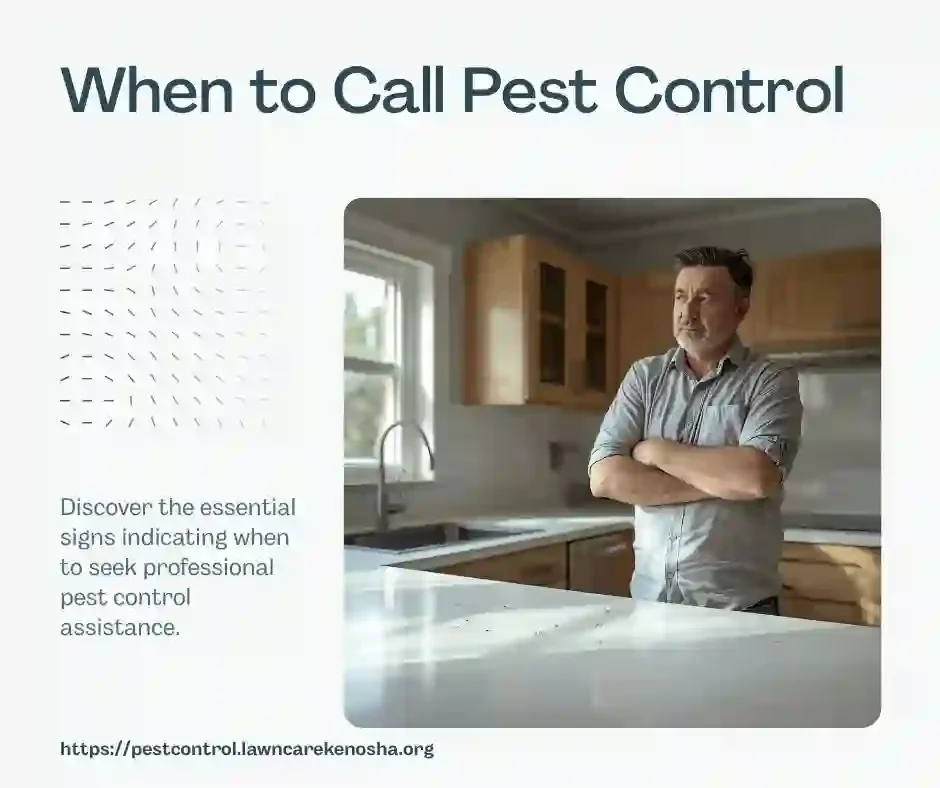 Professional pest control service assessment at Wisconsin home — technician reviewing exterior foundation for pest entry points