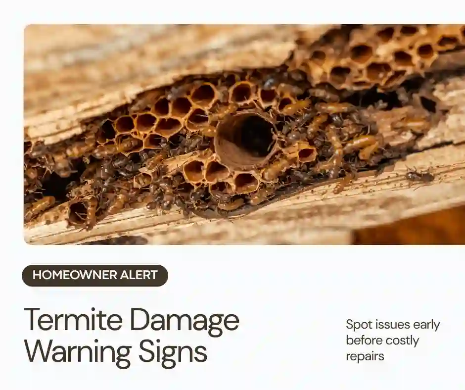 Licensed termite treatment application in Wisconsin — liquid termiticide soil barrier around home foundation